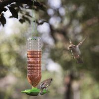 Bird feeder - Vogelfutterspender
