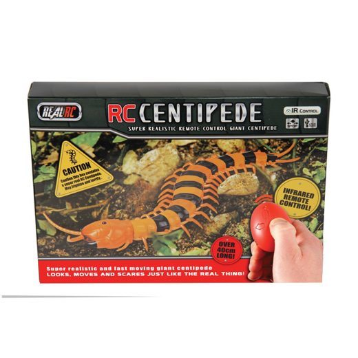 Real Centipede / Achtung Tausendfüssler