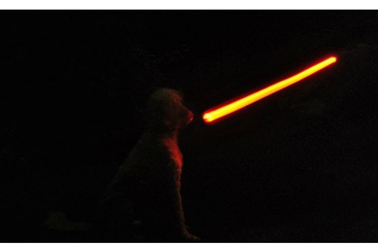 Darth Vader Hundeleine